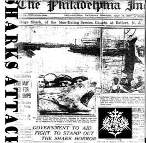 rise for victoy - shark attack