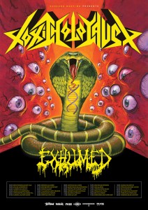 toxic holocaust