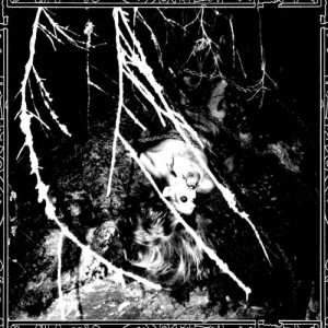 ormgard - pic small