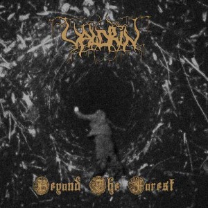 Valdrin Beyond the Forest