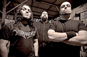 nervecell