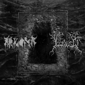 ARKONA-ILLNESS-cover1