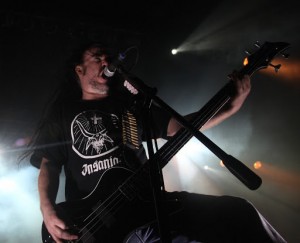 carcass