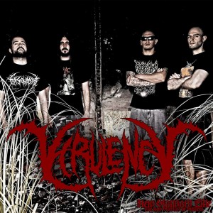 VIrulency_NSE_2014