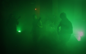 predatory light