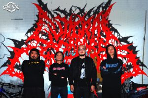Guttural Corpora Cavernosa