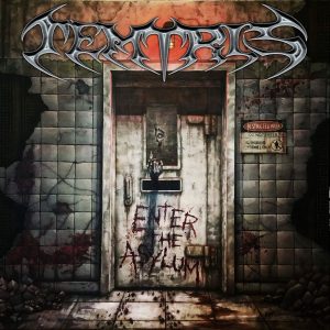Temtris Enter the Asylum