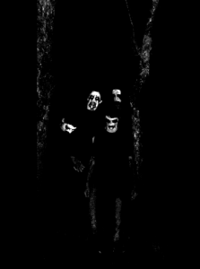 vpaahsalbrox_band