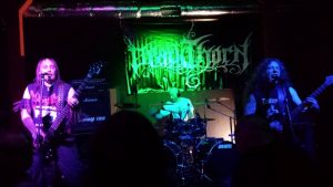 warfist6
