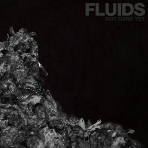 Fluids > Not Dark Yet