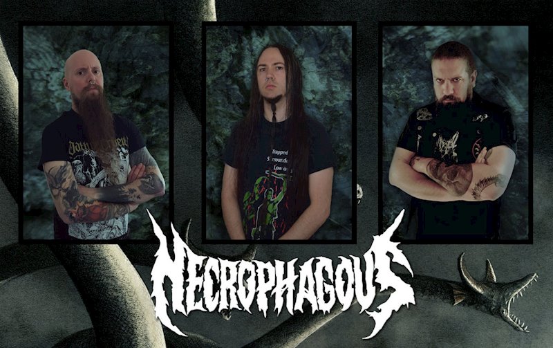 nectophagous