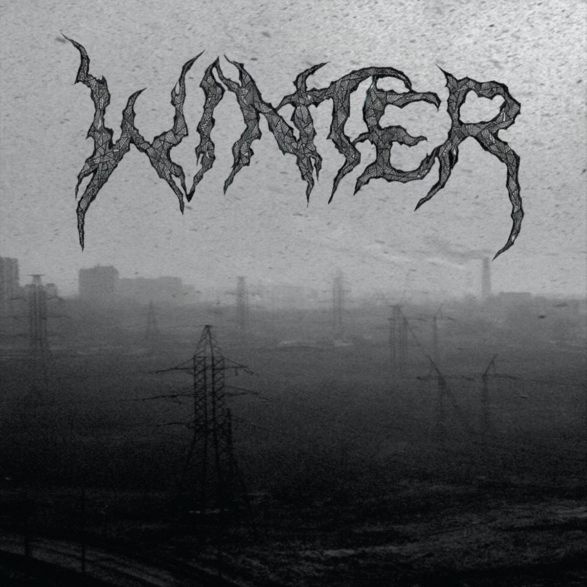 Winter > Live in Brooklyn NY